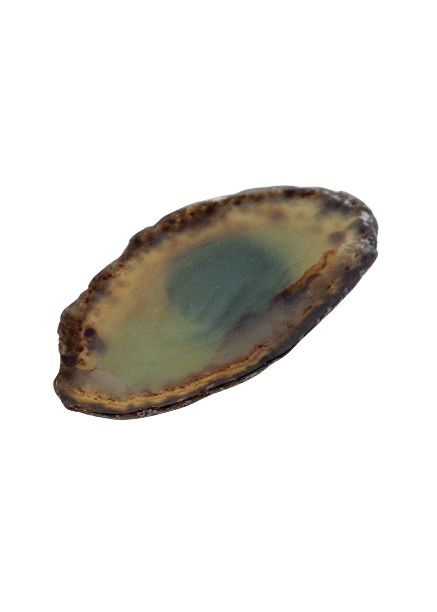 Agate Slice Crystal Fridge Magnet by Enchanted Soul
