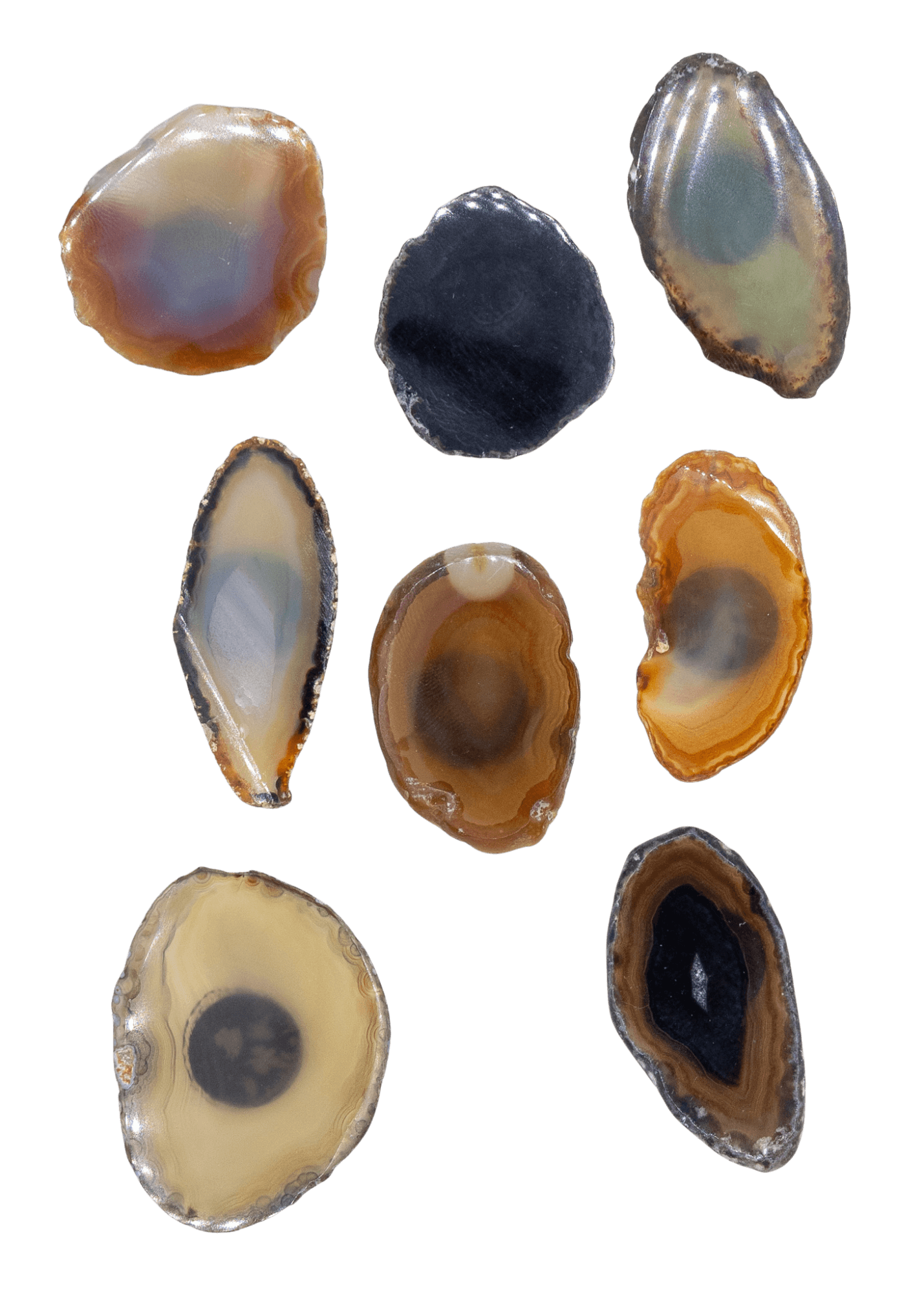 Agate Slice Crystal Fridge Magnet by Enchanted Soul