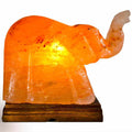 Elephant Shaped Salt Lamp - 9" avg. - Cord, Bulb, Dimmer by Sacred Crystals