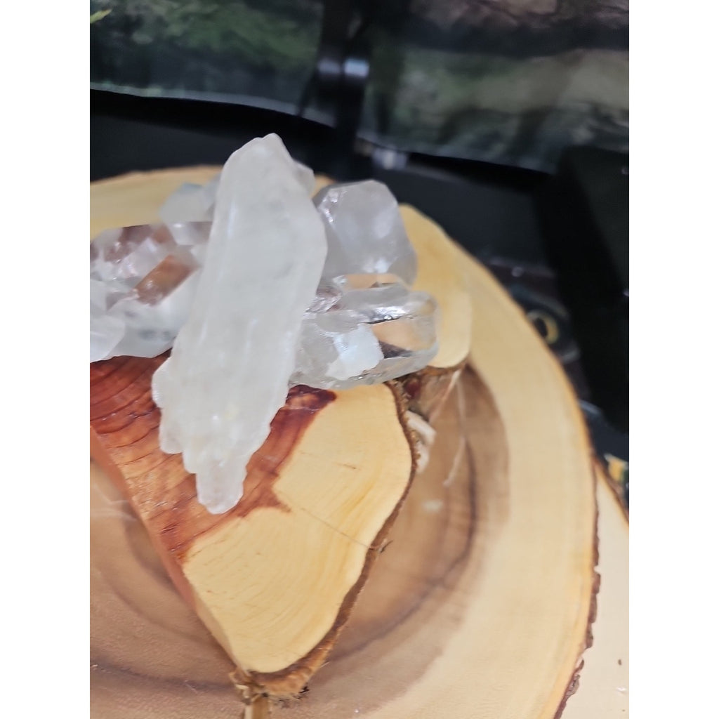 Brazilian Quartz Crystal W/wood Base .77lb Crystals by CrystalCloud Company