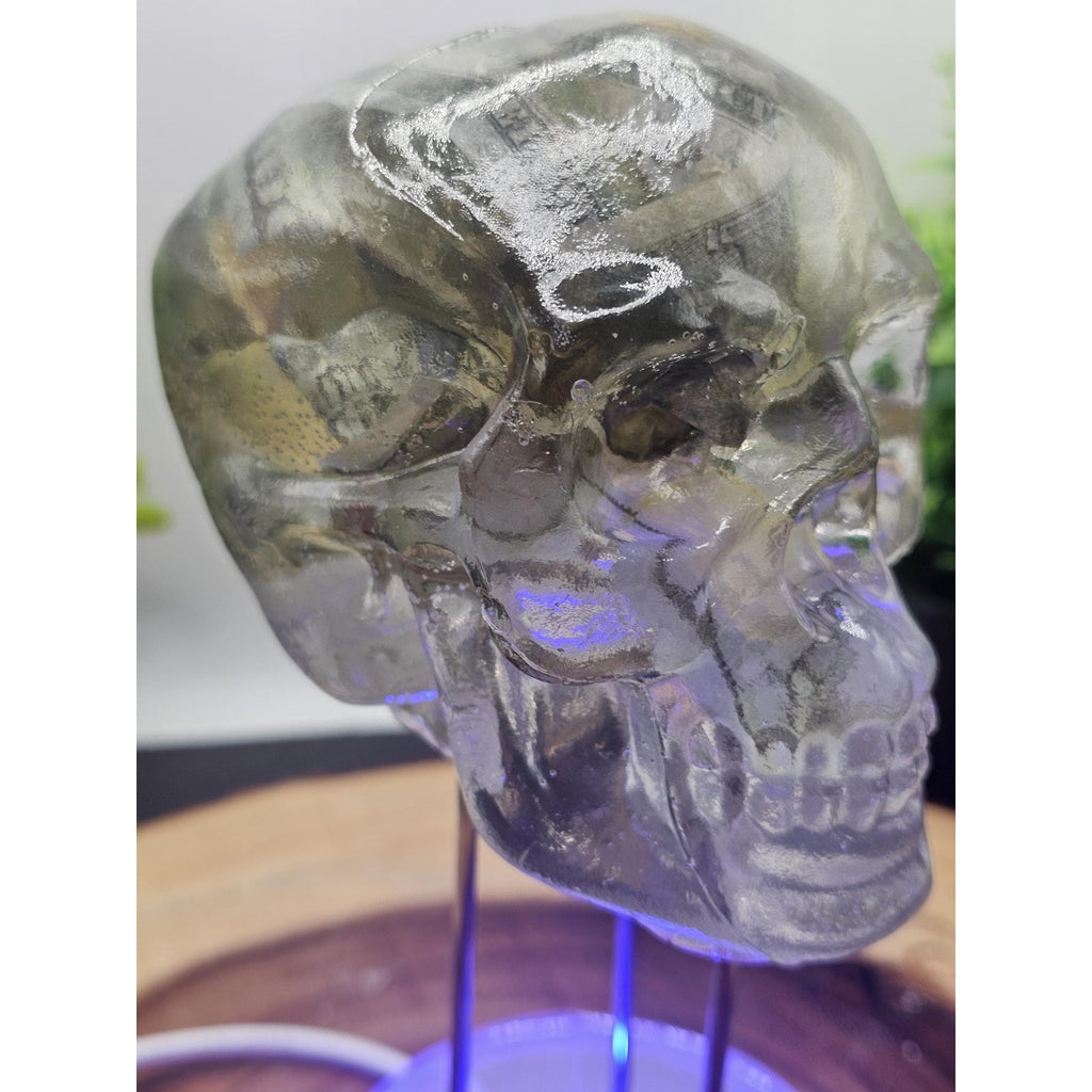 Money skull by CrystalCloud Company