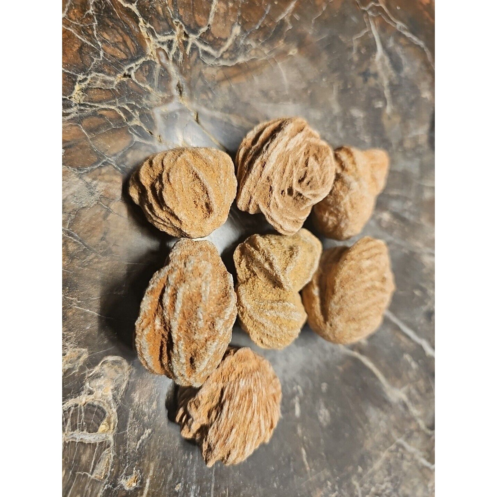 Desert Rose Stones by CrystalCloud Company