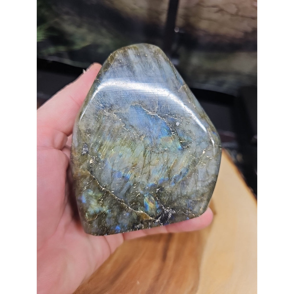 1.48LB 1Pcs Natural Rainbow Labradorite Crystal Spectrolite Stone by CrystalCloud Company