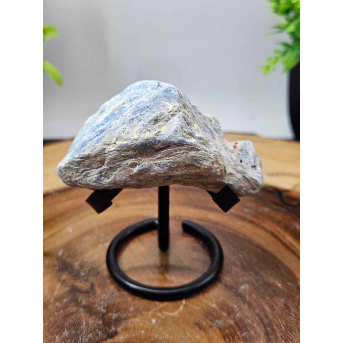 Blue Kyanite Raw Crystal Specimen on Metal Stand