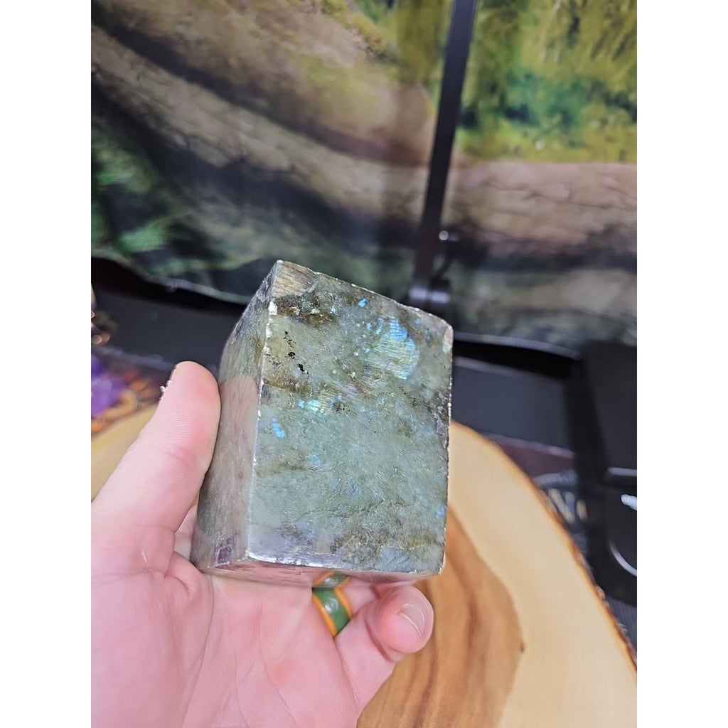 1.11LB 1Pcs Natural Rainbow Labradorite Crystal Spectrolite Stone by CrystalCloud Company