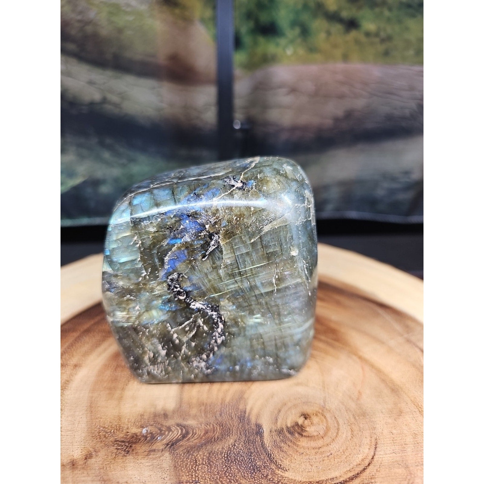 1.60lbs Natural Rainbow Labradorite Crystal Gem Spectrolite Stone by CrystalCloud Company
