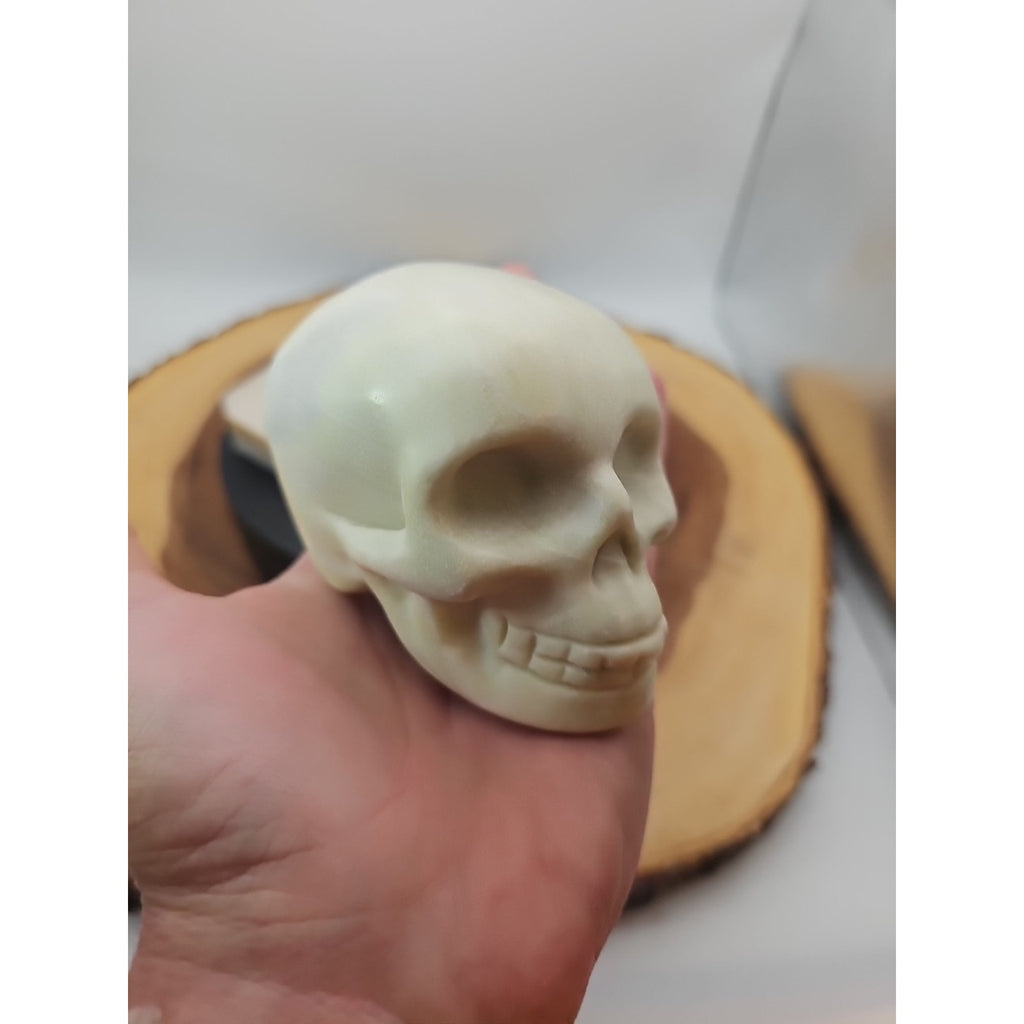 1.14lb Natural Jasper Calcite Skulls Crystal Carving Mixed Stones Healing by CrystalCloud Company