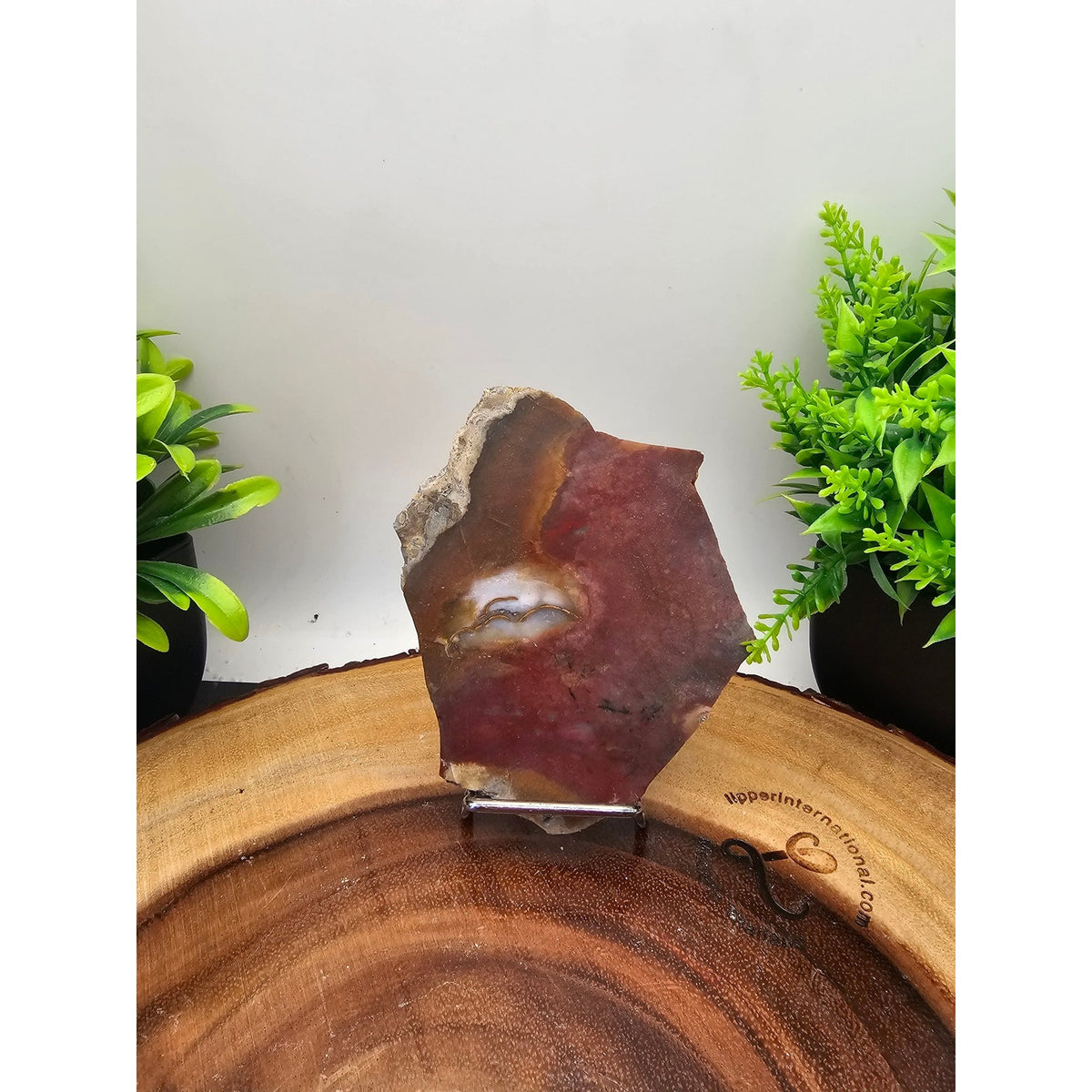Red Agate Slice on Metal Display Stand