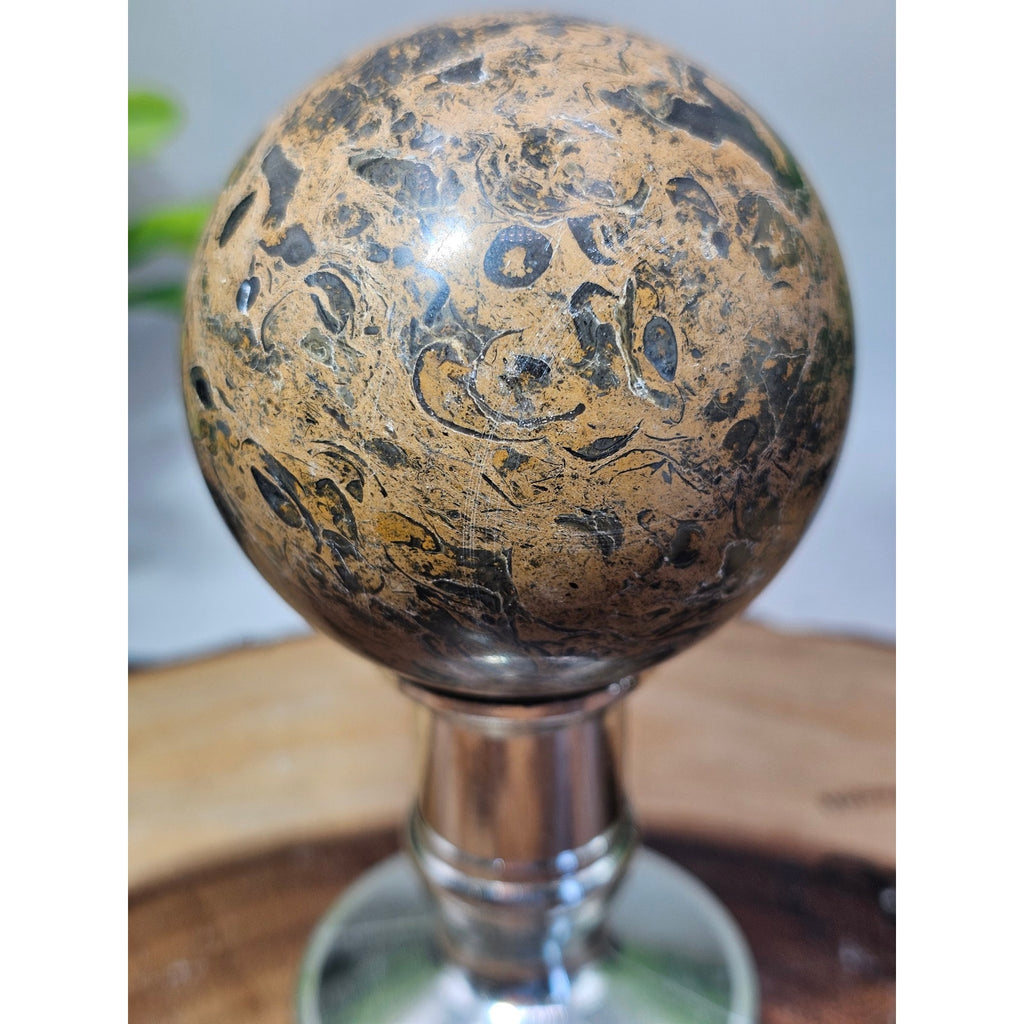 Mexican Crazy Lace Agate Sphere 55mm+ with Metal Stand
