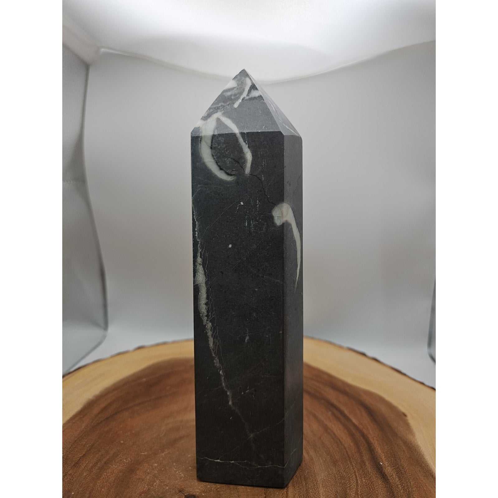 3.14lb 1000 Eye Jasper Quartz Tower 9in Tall Has Chip On Top by CrystalCloud Company