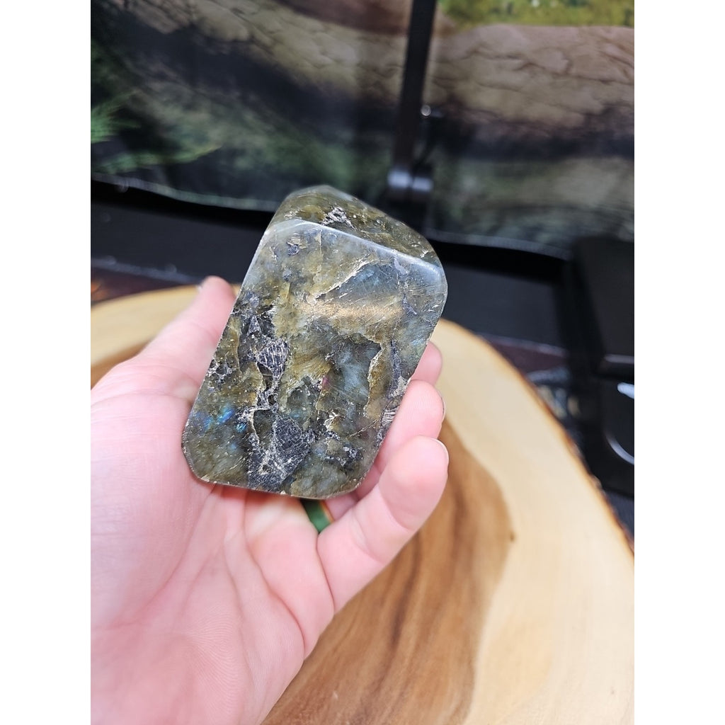 1.48LB 1Pcs Natural Rainbow Labradorite Crystal Spectrolite Stone by CrystalCloud Company