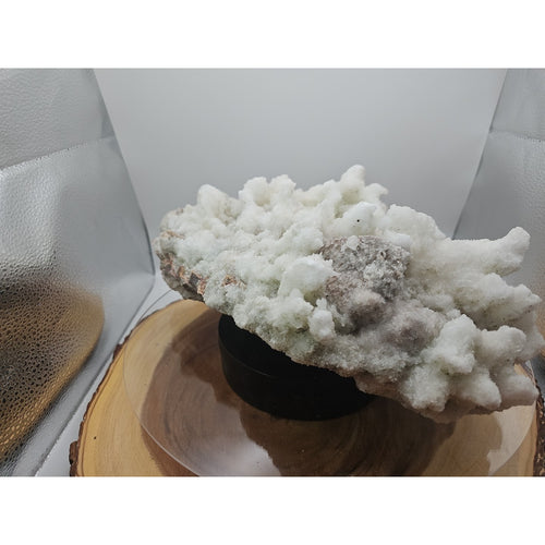 11.27LB New Find Natural Clear Selenite Gypsum Cluster Specimen by CrystalCloud Company