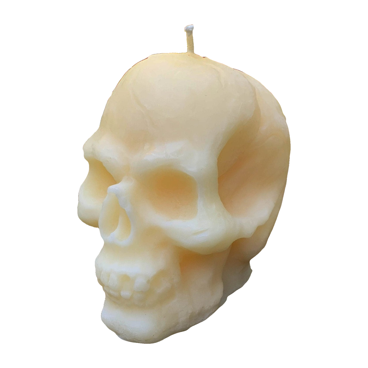 Large Skull Beeswax Candle (White or Yellow)