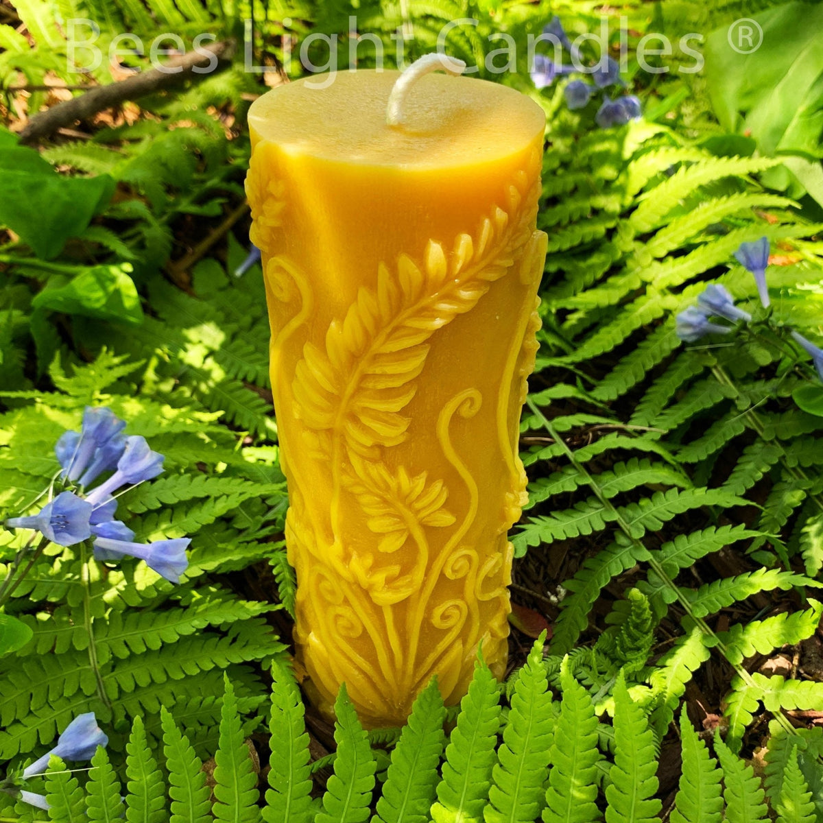 Fern Pillar Beeswax Candle in Yellow or White