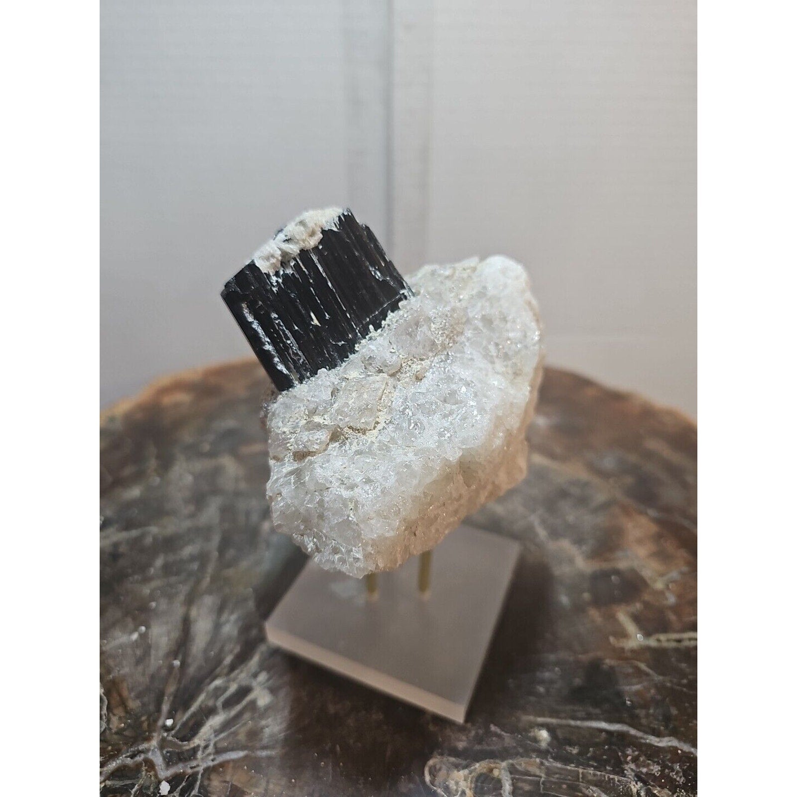 Black Tourmaline Raw Mineral Specimen — 1.11 lbs, Rough Natural Crystal | CrystalCloud Company by CrystalCloud Company