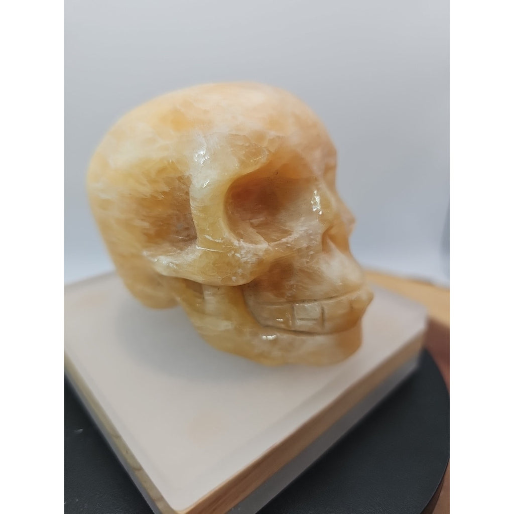 .89lb Natural Jasper Calcite Skulls Crystal Carving Mixed Stones Healing by CrystalCloud Company