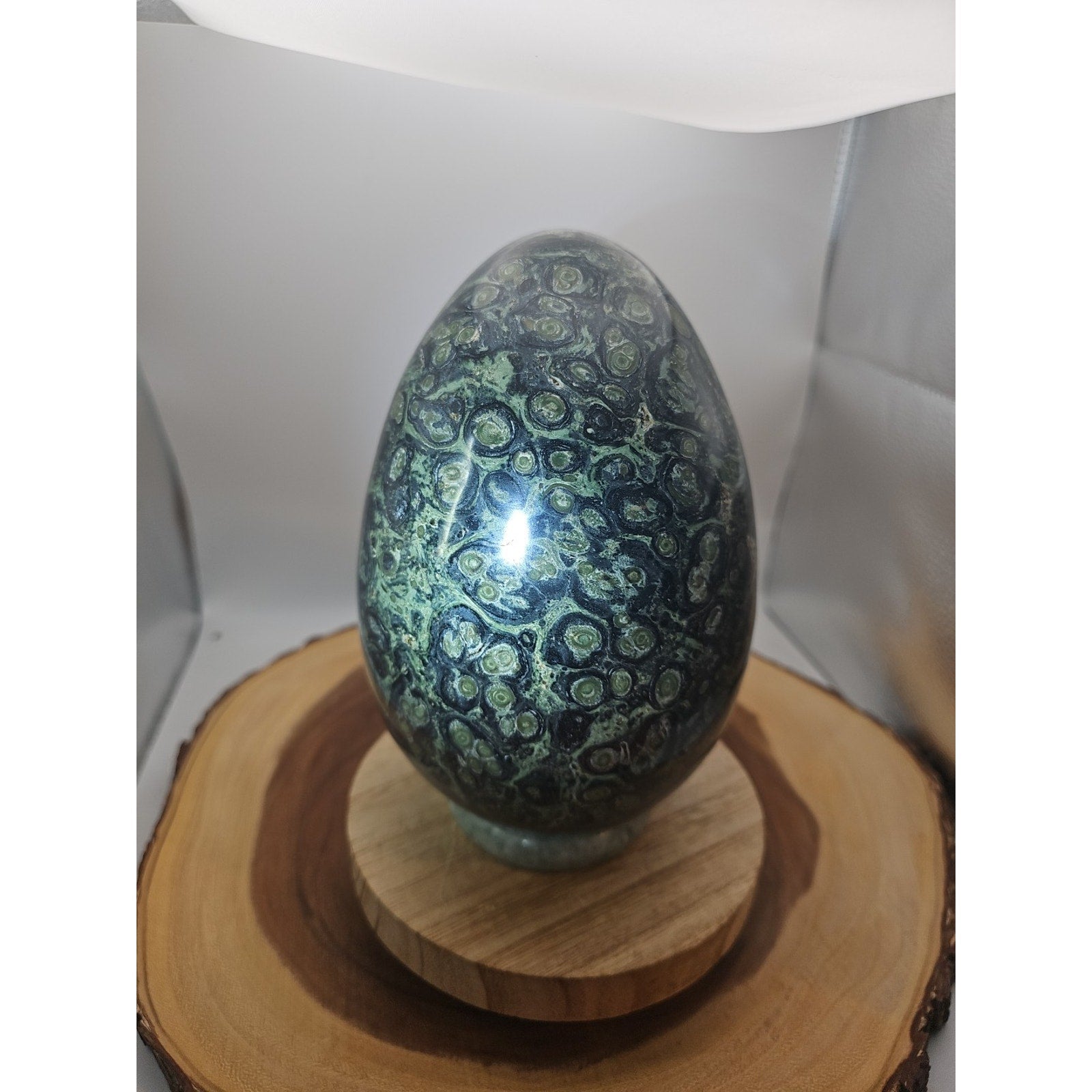 9.1LB Natural Kambaba Jasper Quartz Crystal egg Mineral specimen Healing by CrystalCloud Company