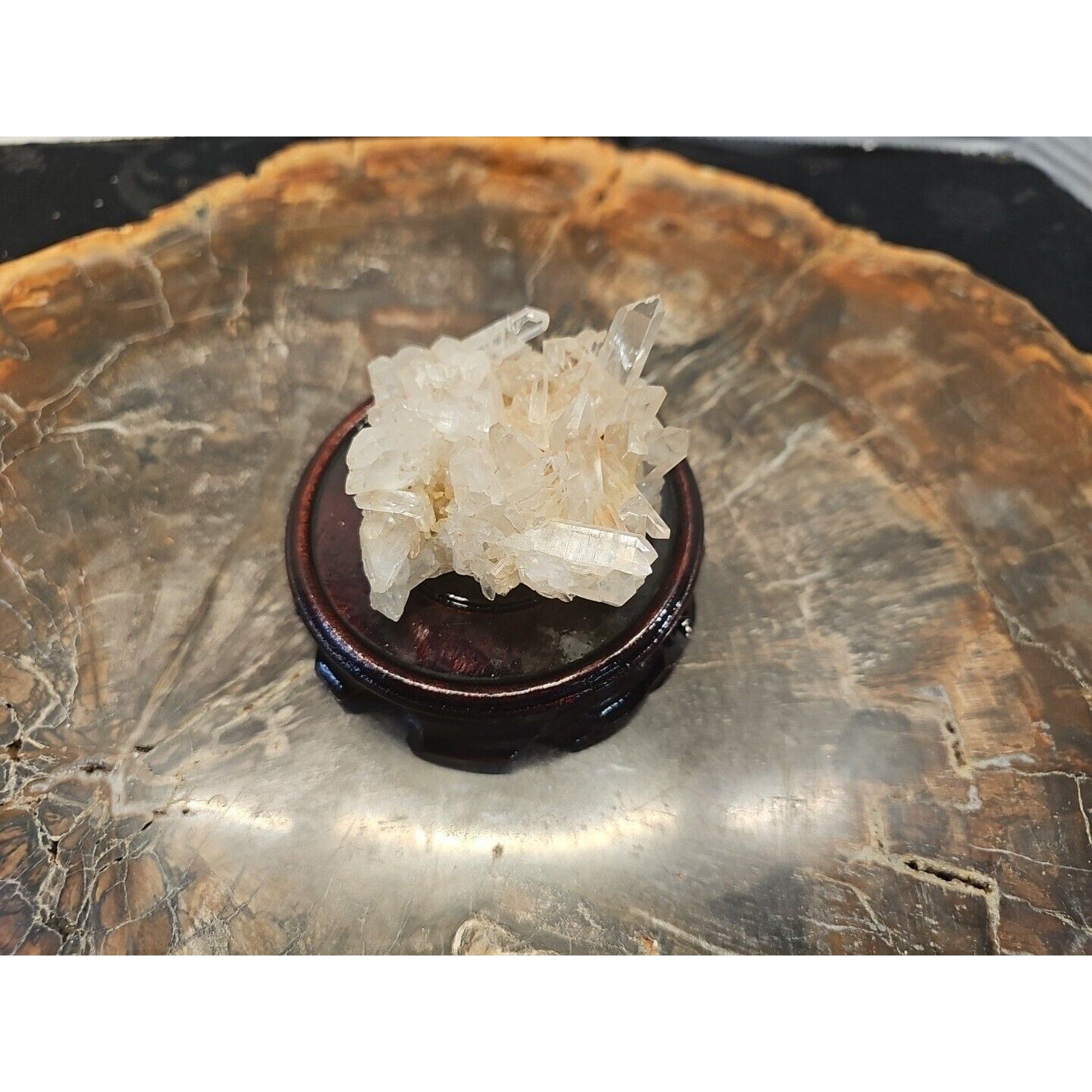 133g Natural Quartz Crystal Cluster with Display Stand - Vitreous Mineral Specimen | CrystalCloud Company by CrystalCloud Company