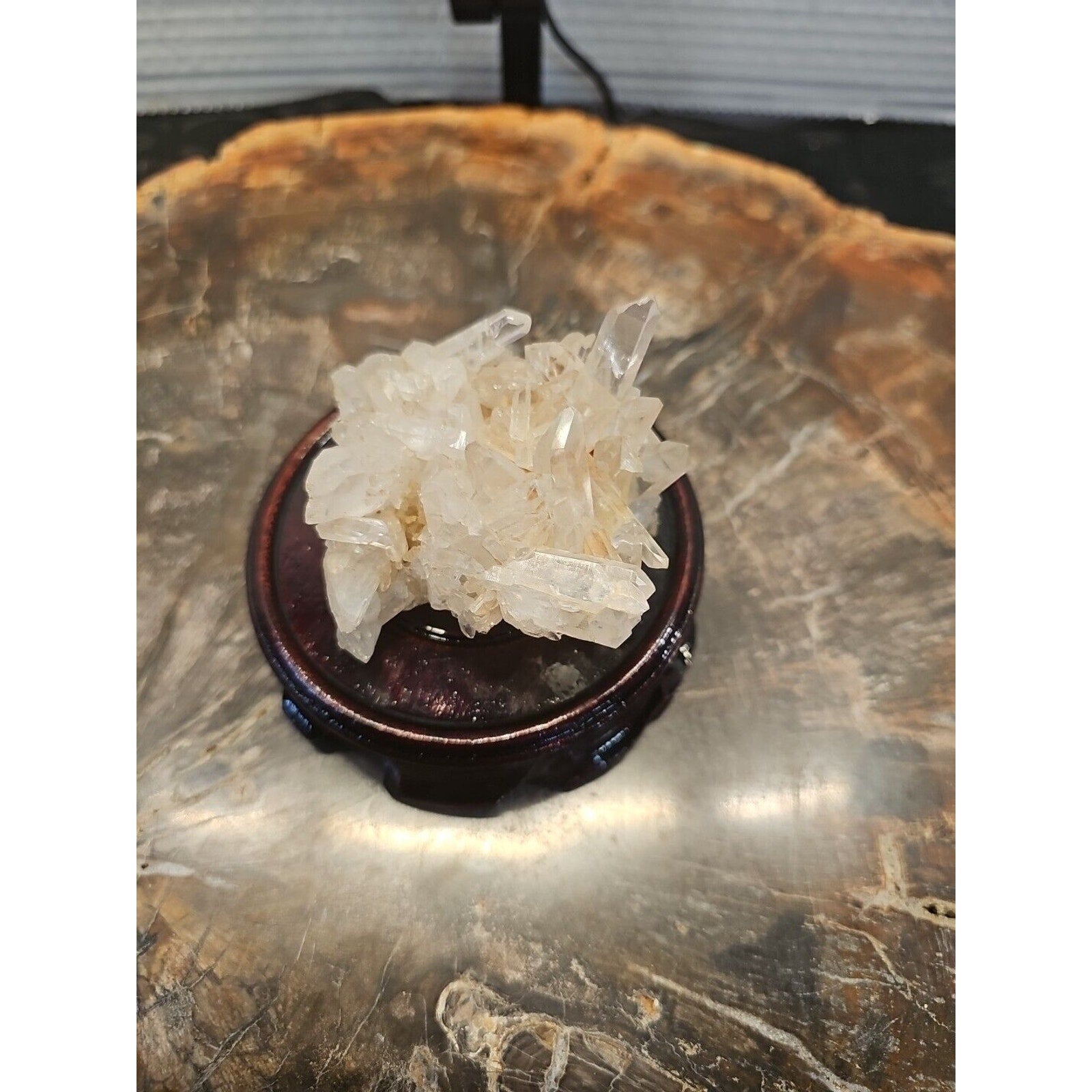 133g Natural Quartz Crystal Cluster with Display Stand - Vitreous Mineral Specimen | CrystalCloud Company by CrystalCloud Company