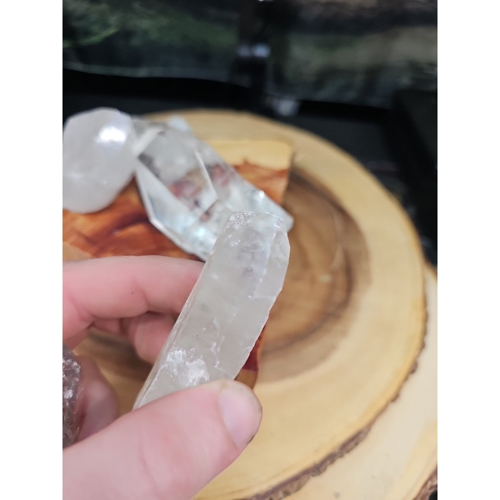 Brazilian Quartz Crystal W/wood Base .77lb Crystals by CrystalCloud Company