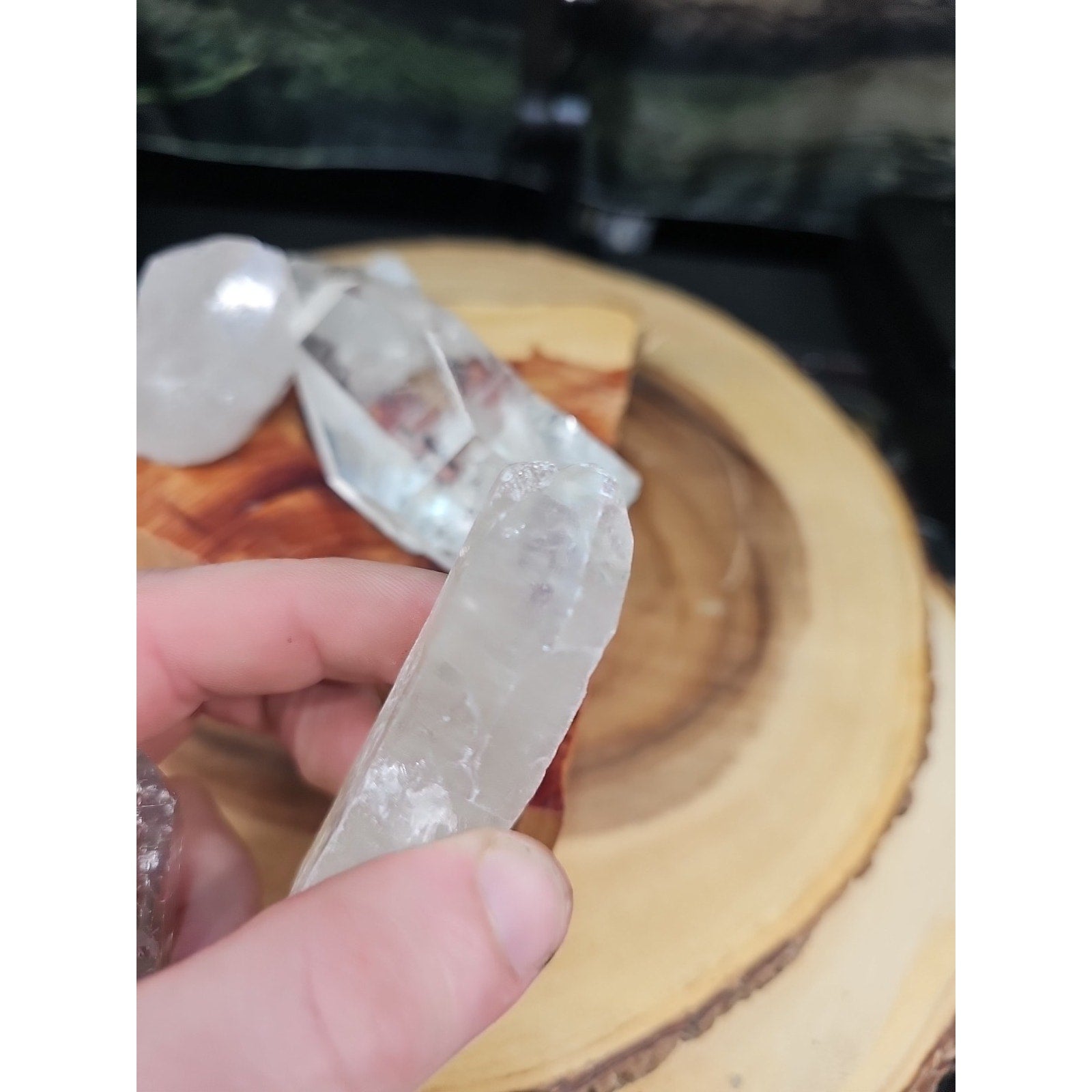 Brazilian Quartz Crystal W/wood Base .77lb Crystals by CrystalCloud Company