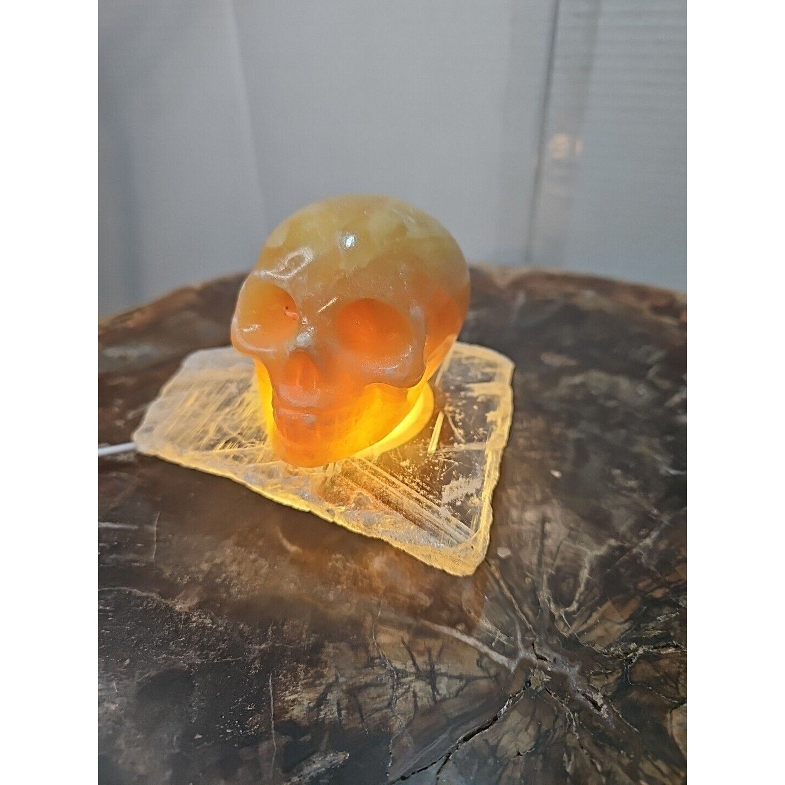 1.62LB Natural Yellow Translucent Calcite Crystal Skull W/Selenite Base & Led by CrystalCloud Company