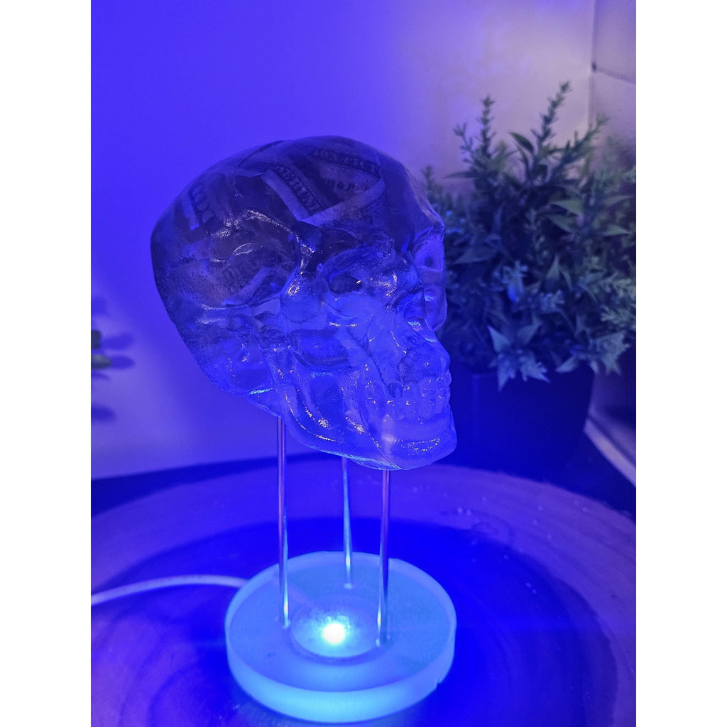 Money skull by CrystalCloud Company