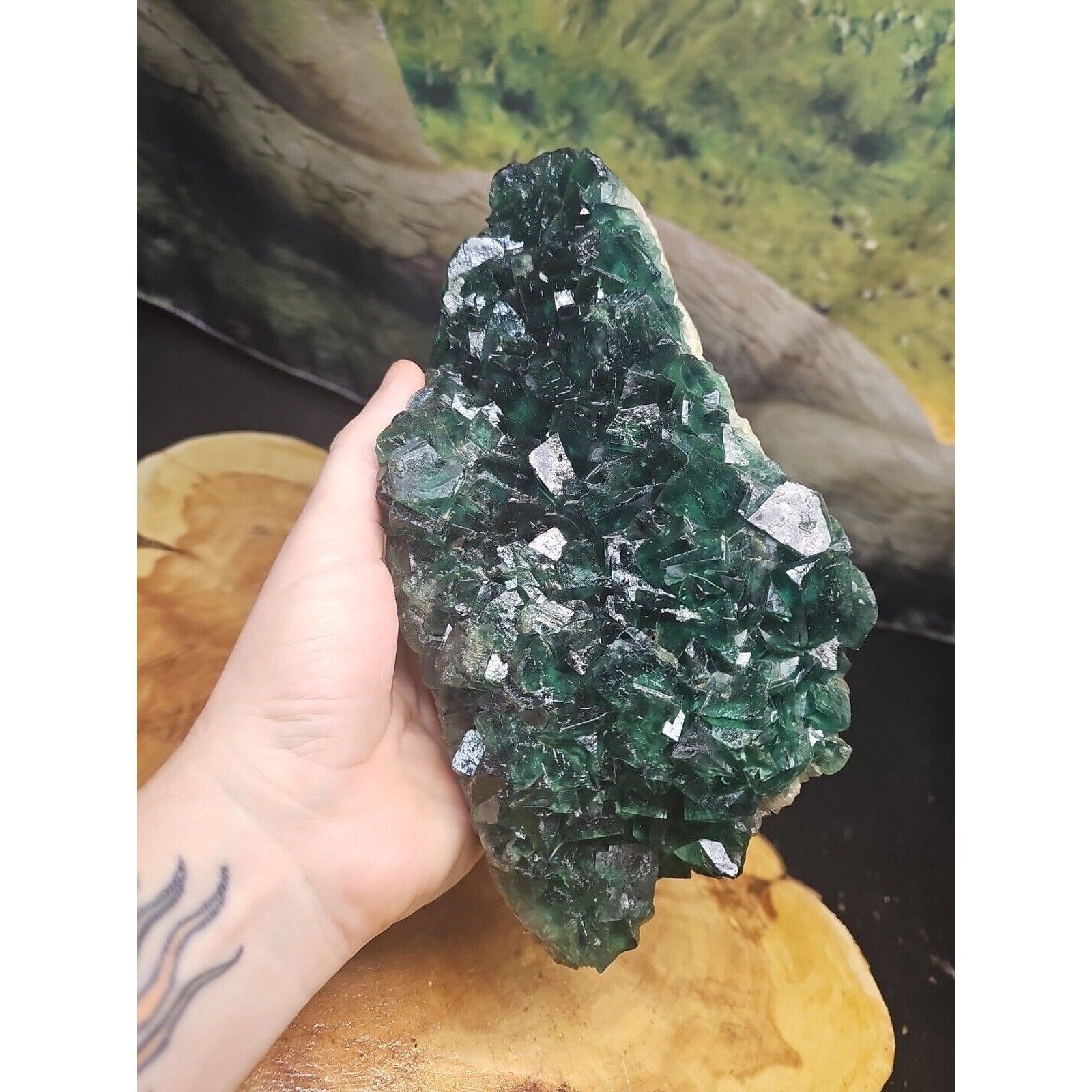3.2lb NATURAL Green FLUORITE Quartz Crystal Cluster Mineral Specimen by CrystalCloud Company