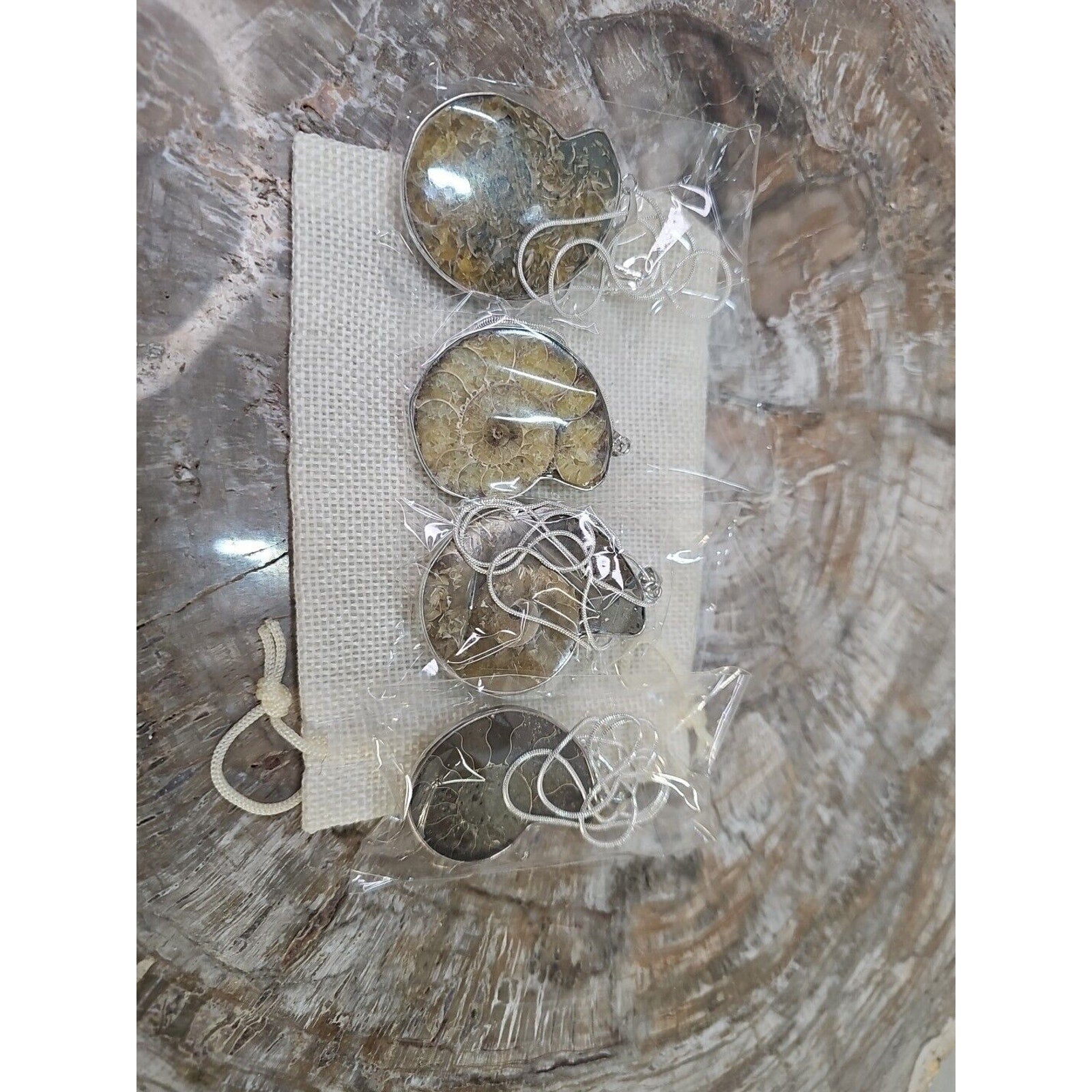 Ammonite Fossil Pendant Necklace — Handmade with 18-inch Silver Chain | CrystalCloud Company by CrystalCloud Company