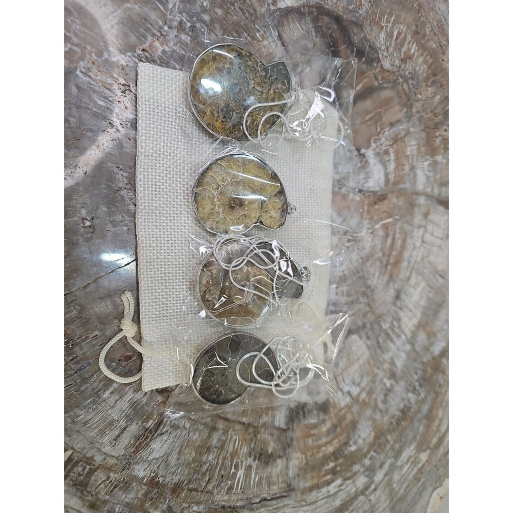 Ammonite Necklace Handmade 1 Pcs With 18in Silver Chain by CrystalCloud Company