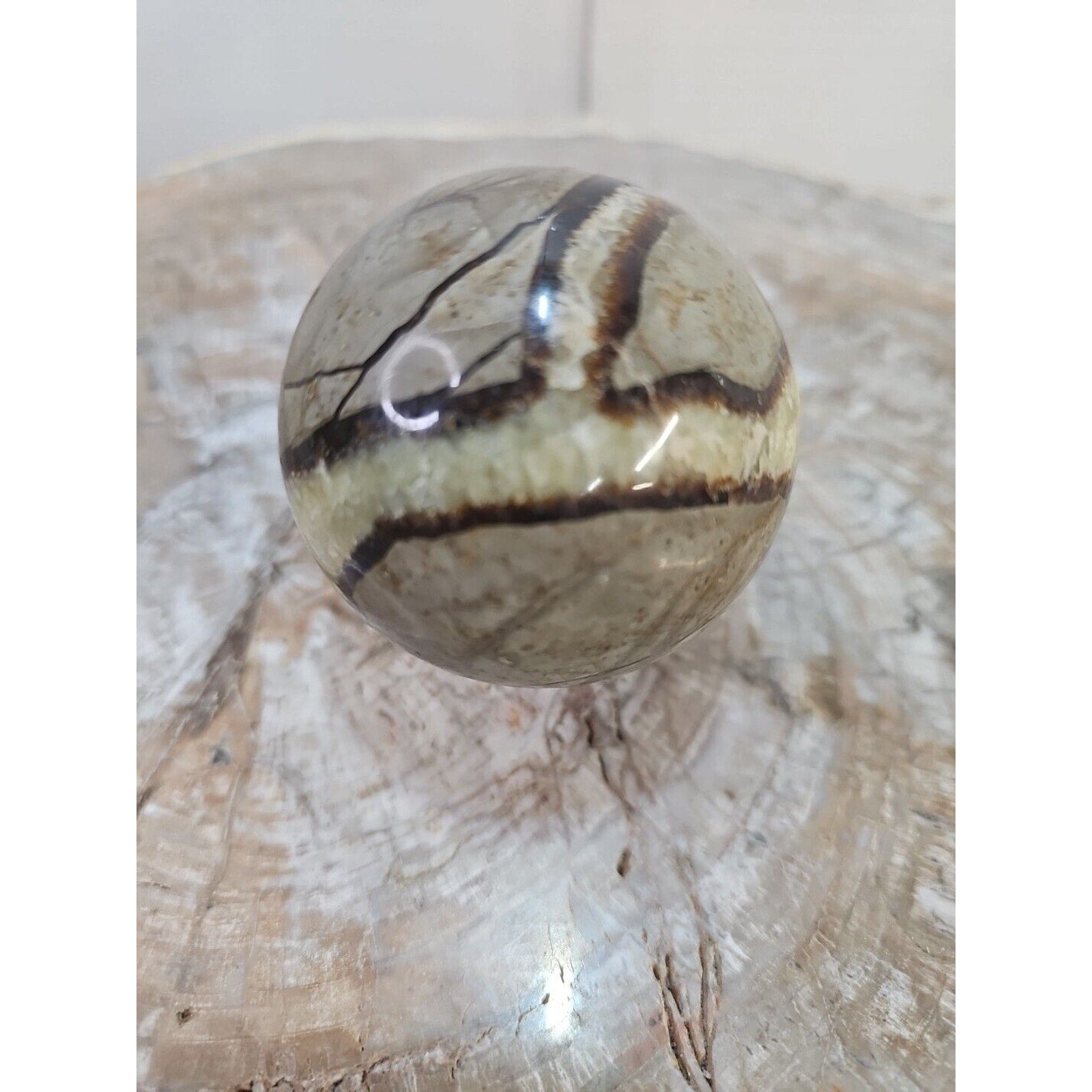 Natural Septarian Dragon Stone Crystal Sphere — 350g with Display Stand | CrystalCloud Company by CrystalCloud Company