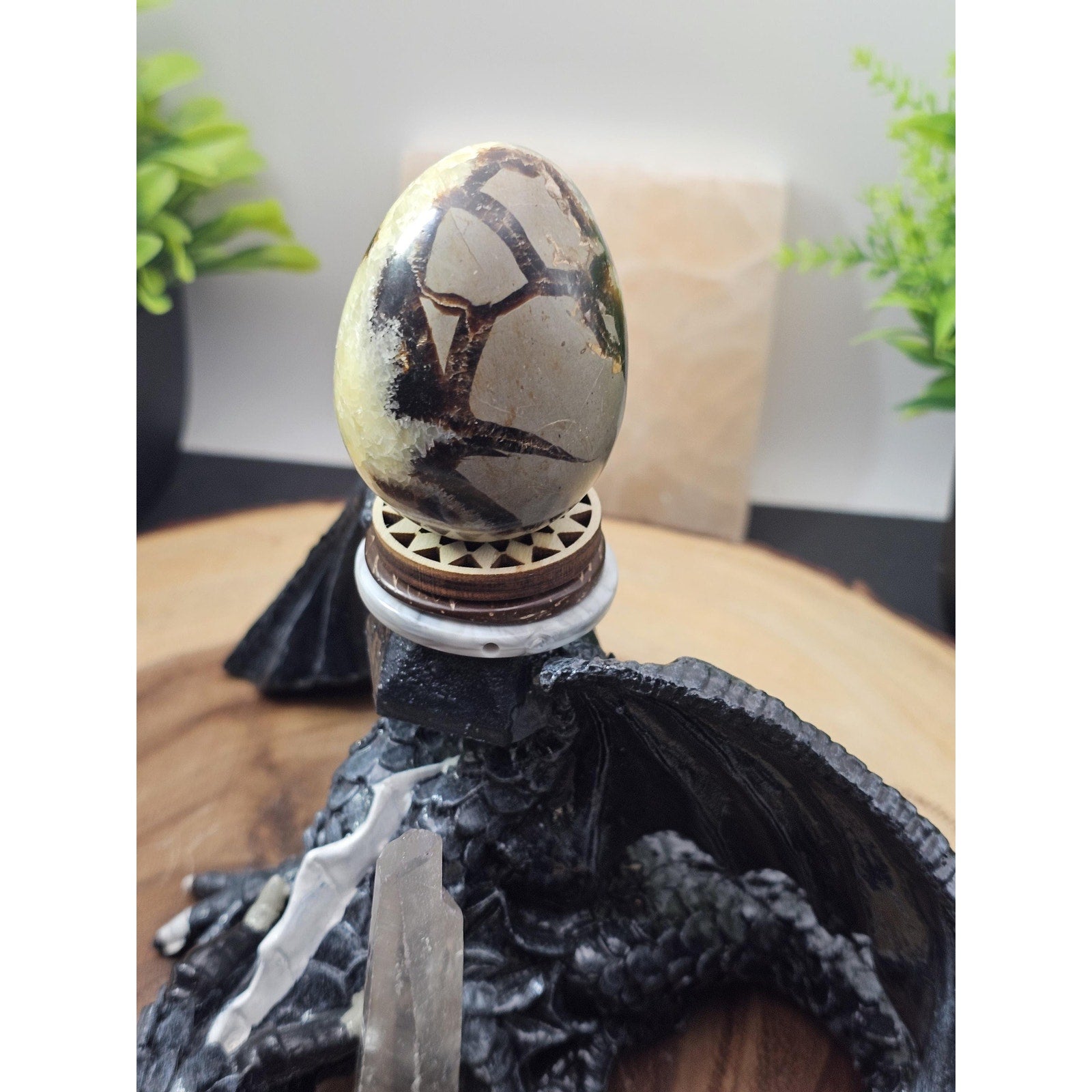 Septarian dragon geode by CrystalCloud Company