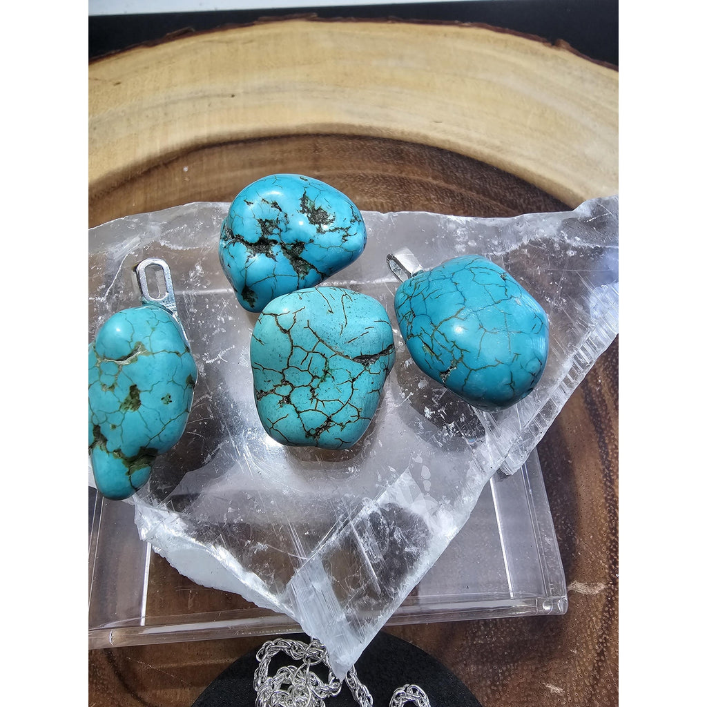 Howlite Turquoise Pendant w/16in 925 silver chain by CrystalCloud Company