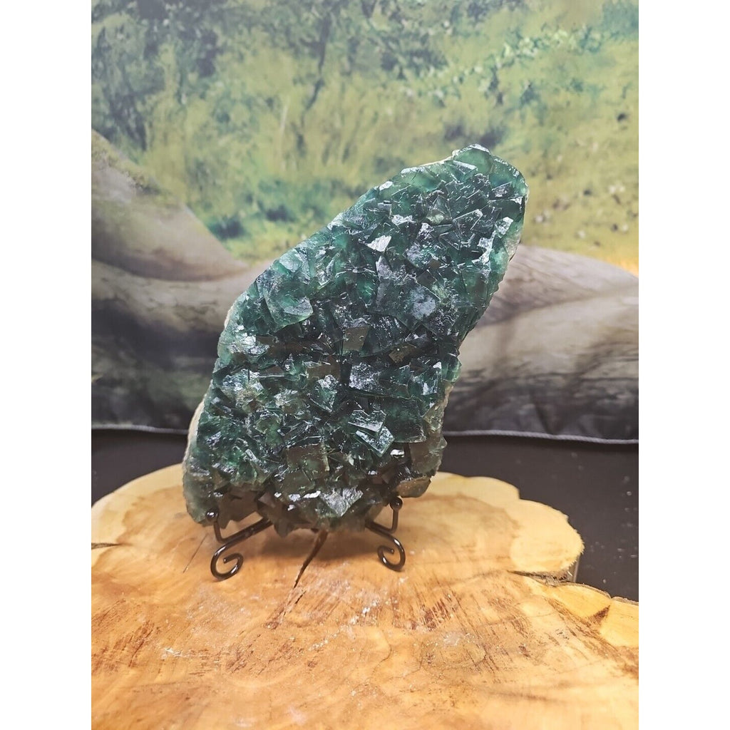 3.2lb NATURAL Green FLUORITE Quartz Crystal Cluster Mineral Specimen by CrystalCloud Company