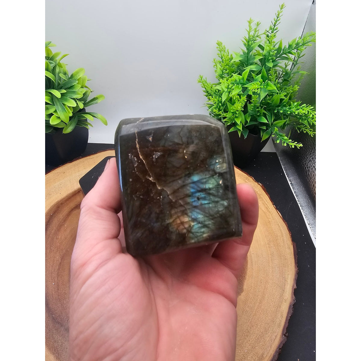 Labradorite Freeform on Metal Stand 1lb