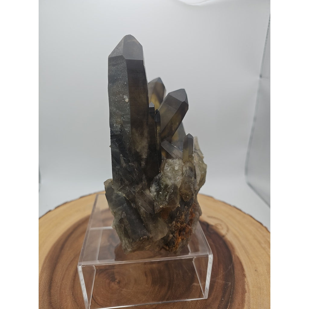 2.77LB Top rare natural beautiful black quartz crystal cluster mineral sample - by CrystalCloud Company