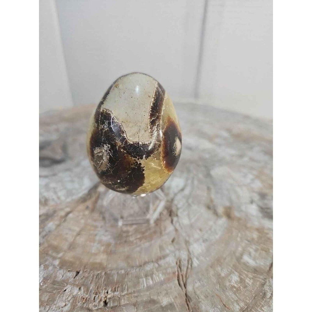 9.0oz Natural Septarian Dragon quartz Crystal egg Mineral Specimen W/Stand by natural