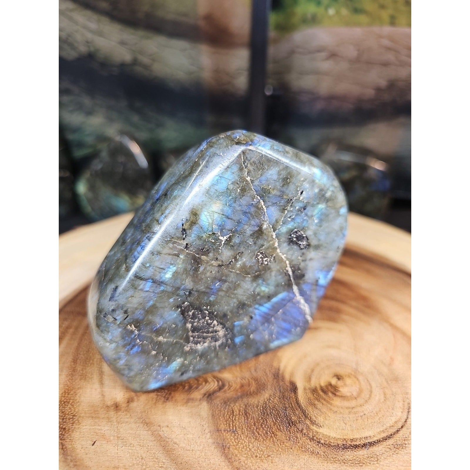 1.29lb Natural Rainbow Labradorite Crystal Gem Spectrolite Stone by CrystalCloud Company