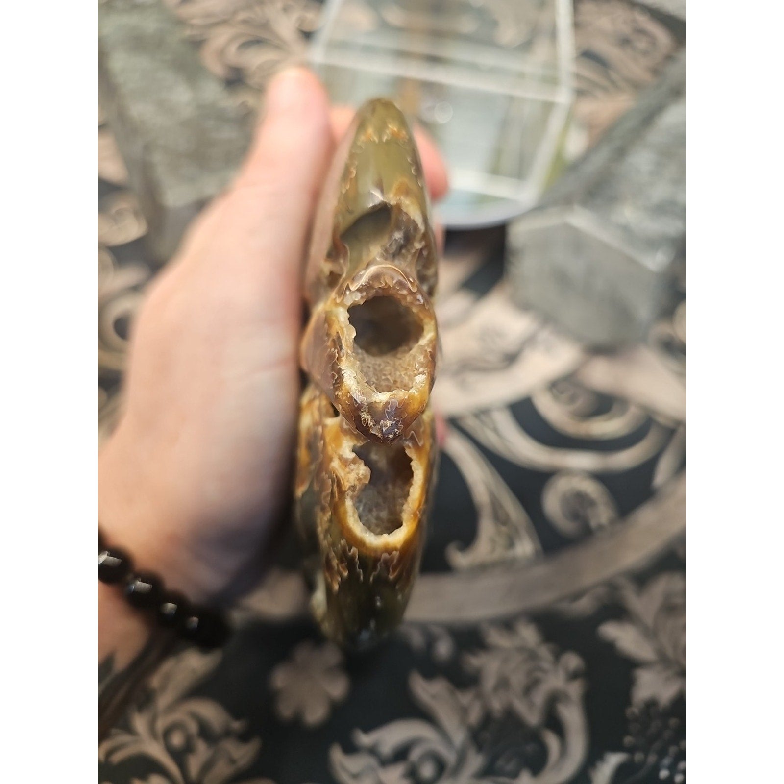 1.32LB Rare! Natural Tentacle Ammonite FossilSpecimen Shell Healing Madagascar by CrystalCloud Company