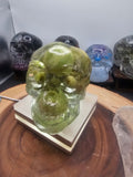 Ocean jasper Resin Anatomical Skull - Vitreous Botanical Specimen | CrystalCloud Company by CrystalCloud Company