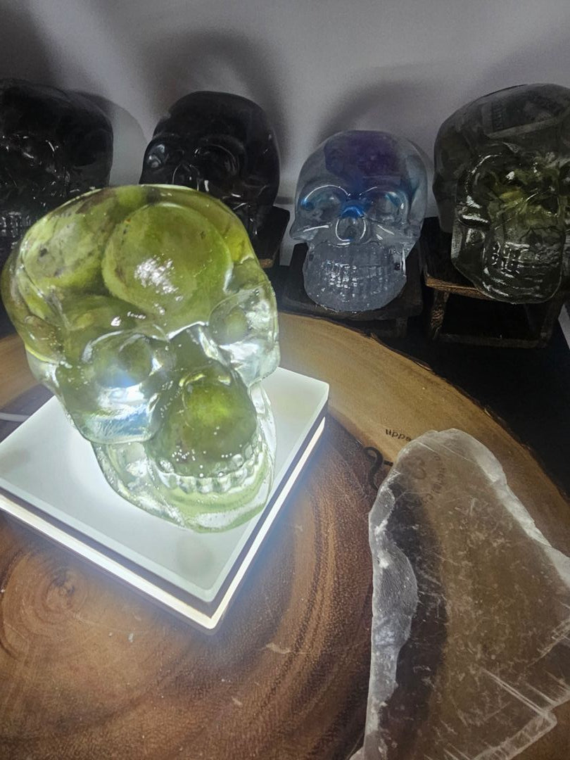 Ocean jasper Resin Anatomical Skull - Vitreous Botanical Specimen | CrystalCloud Company by CrystalCloud Company