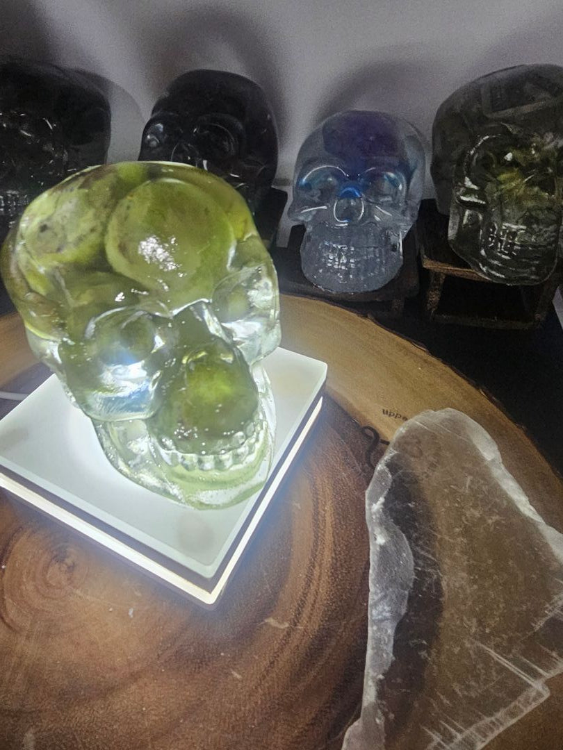 Ocean jasper Resin Anatomical Skull - Vitreous Botanical Specimen | CrystalCloud Company by CrystalCloud Company