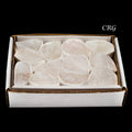 Crystal Quartz Rough Small Flat (12 Pieces) Size 1.25 to 2.5 Inches Bulk Wholesale Lot Crystal Minerals by Crystal River Gems