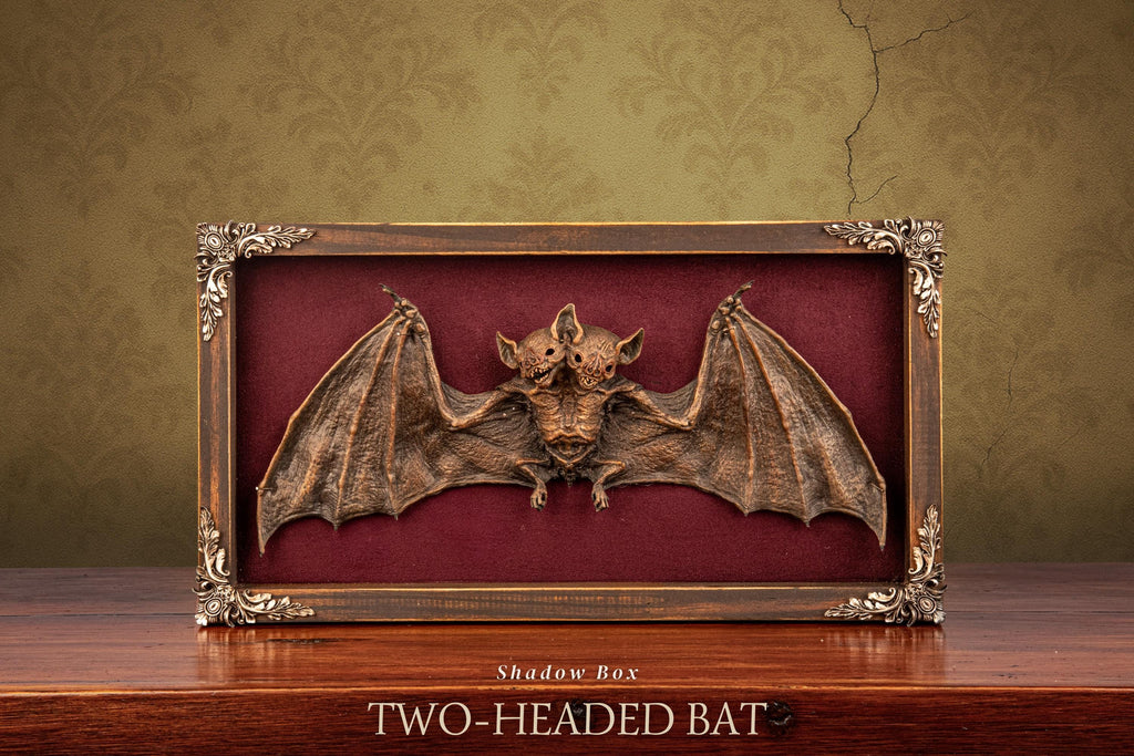 Two-Headed Bat Shadow Box