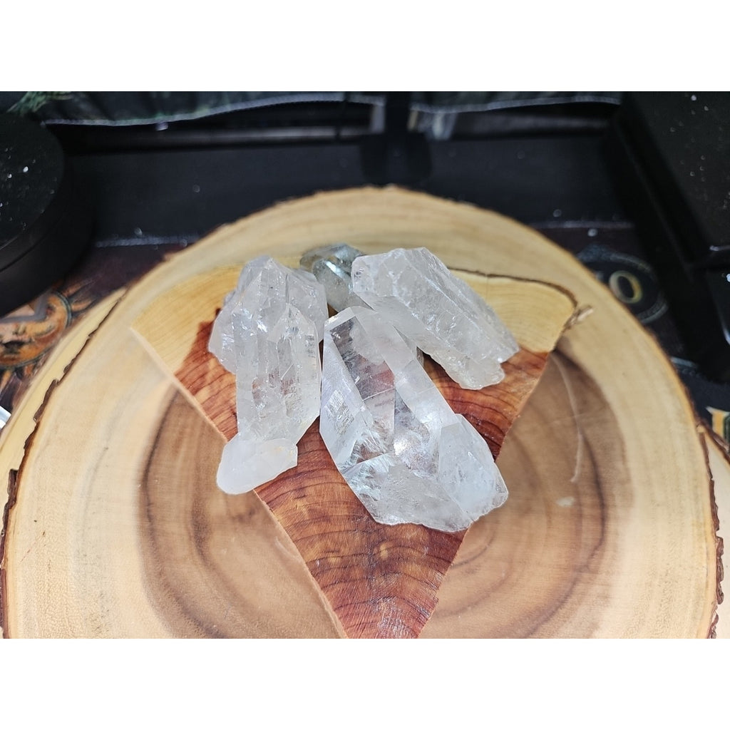 Brazilian Quartz Crystal W/wood Base .77lb Crystals by CrystalCloud Company