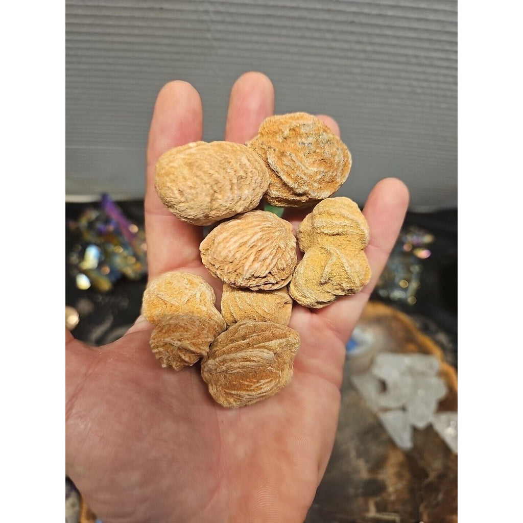 Desert Rose Stones by CrystalCloud Company