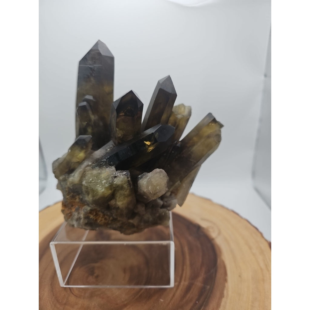 2.77LB Top rare natural beautiful black quartz crystal cluster mineral sample - by CrystalCloud Company