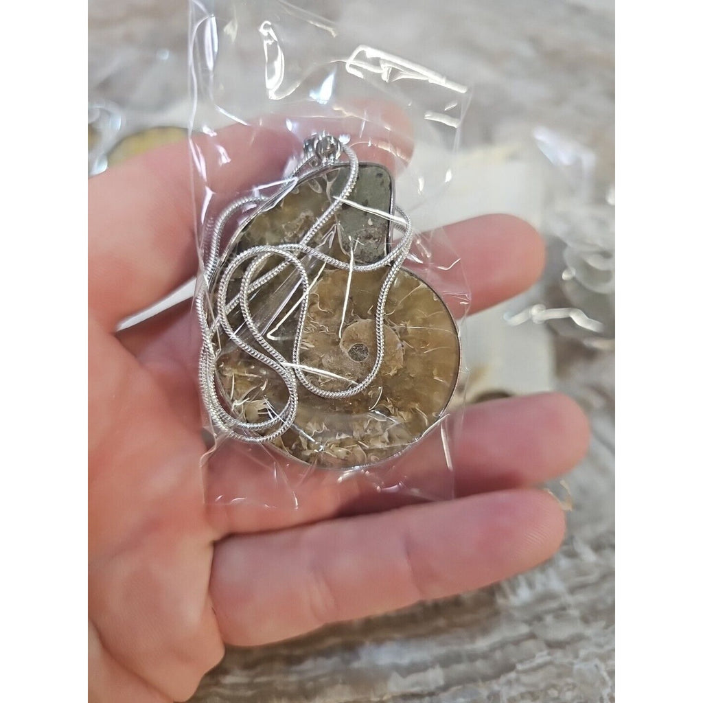 Ammonite Necklace Handmade 1 Pcs With 18in Silver Chain by CrystalCloud Company