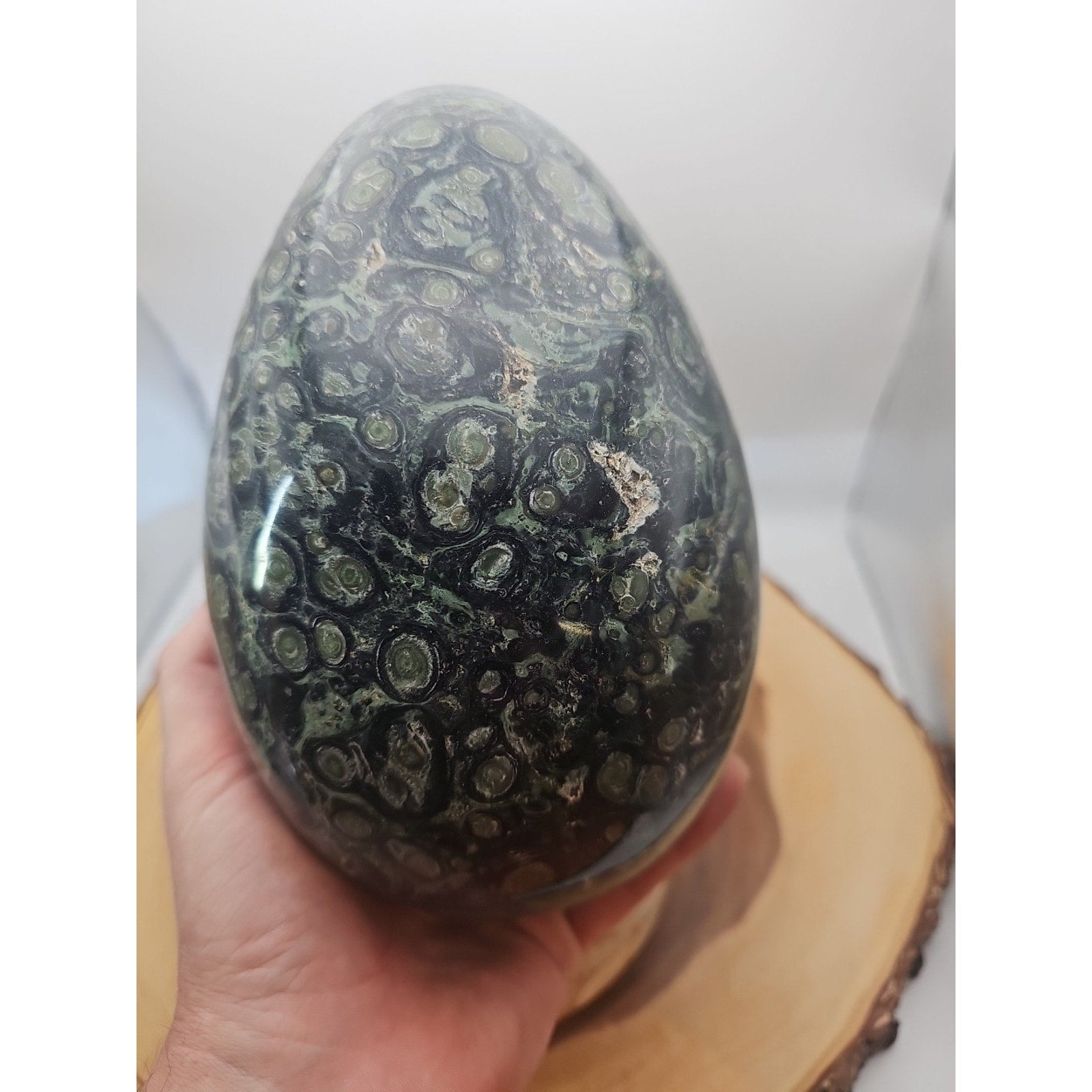 9.1LB Natural Kambaba Jasper Quartz Crystal egg Mineral specimen Healing by CrystalCloud Company