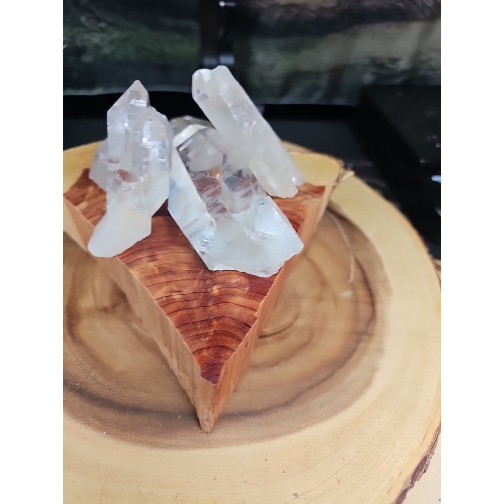 Brazilian Quartz Crystal W/wood Base .77lb Crystals by CrystalCloud Company